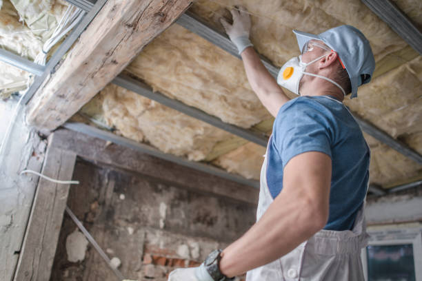 Best Energy Efficiency Insulation in Jacksboro, TX