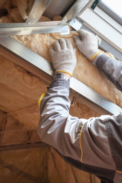 Best Specialized Insulation Services in Jacksboro, TX